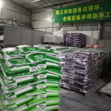 專業建筑建材供應商——探訪中山五桂山耀王邦建材廠